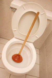 Plumbing Services, FishHawk, FL