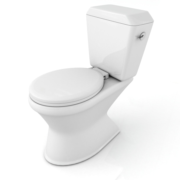 Commercial Toilet Installation in Lakeland, Florida
