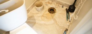 Toilet Repair in Lithia, Florida