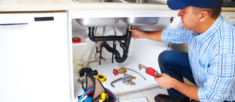 Residential Plumber in FishHawk, Florida