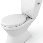 Commercial Toilet Installation in Plant City, Florida