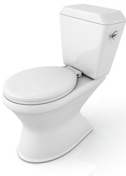 Commercial Toilet Installation in Plant City, Florida