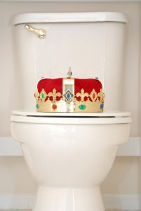 When to Call for Toilet Repair: 5 Signs You Shouldn’t Ignore