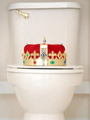 When to Call for Toilet Repair: 5 Signs You Shouldn’t Ignore